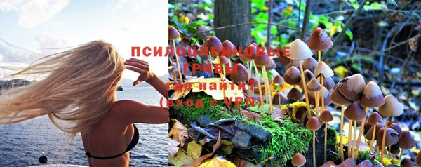 мескалин Алексеевка