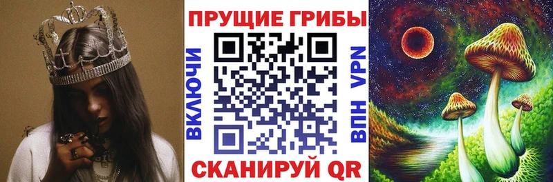 Галлюциногенные грибы мицелий  Туринск 